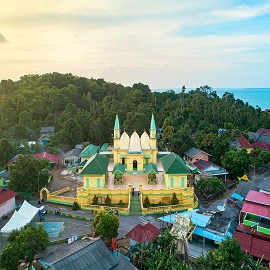 Pulau Penyengat: Sejarah dan Budaya