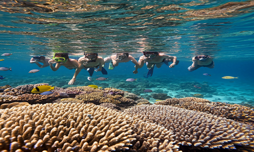 pantai derawan kalimantan timur